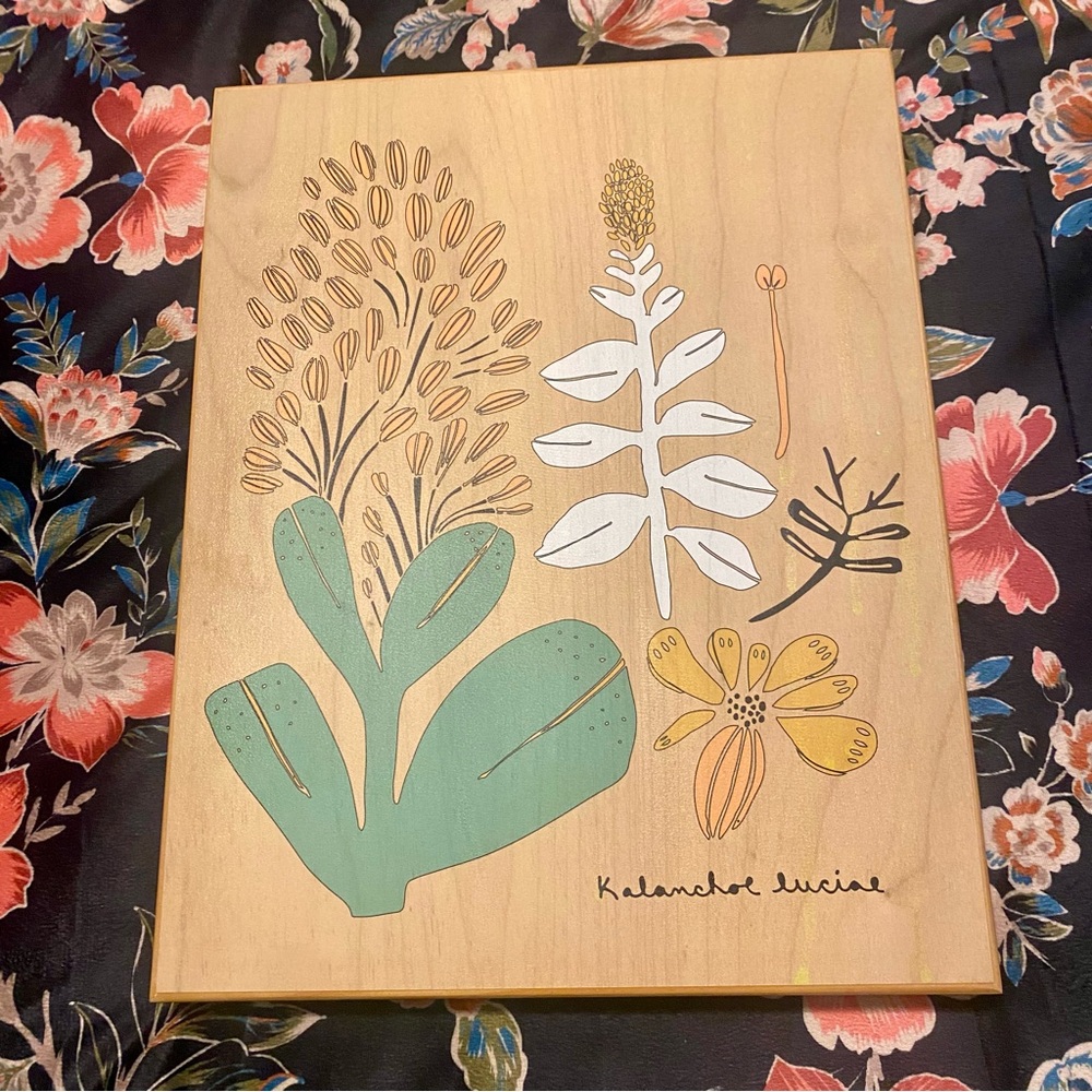 Leah Duncan Kalanchoe luciae Wooden Painting